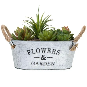 Flowers&Garden ' Bucket Design Mali Metalni Kontejner Za Sukulentnih Biljaka Sa Ručkama Od Konopca