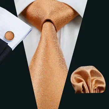 Barry.Wang New Arrive muških kravata novo poslovanje svila vezati šal manžete set za muškarce je formalna vjenčanja mladoženja LS-1122