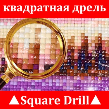 5D DIY Diamond Painting Full Square/Round Drill 